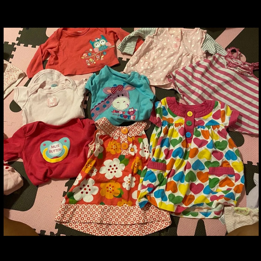 Carter Bundle